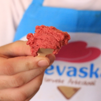 Nevaskeiros